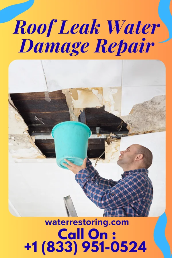 Roof Leak Water Damage Repair in Nortonville, KS