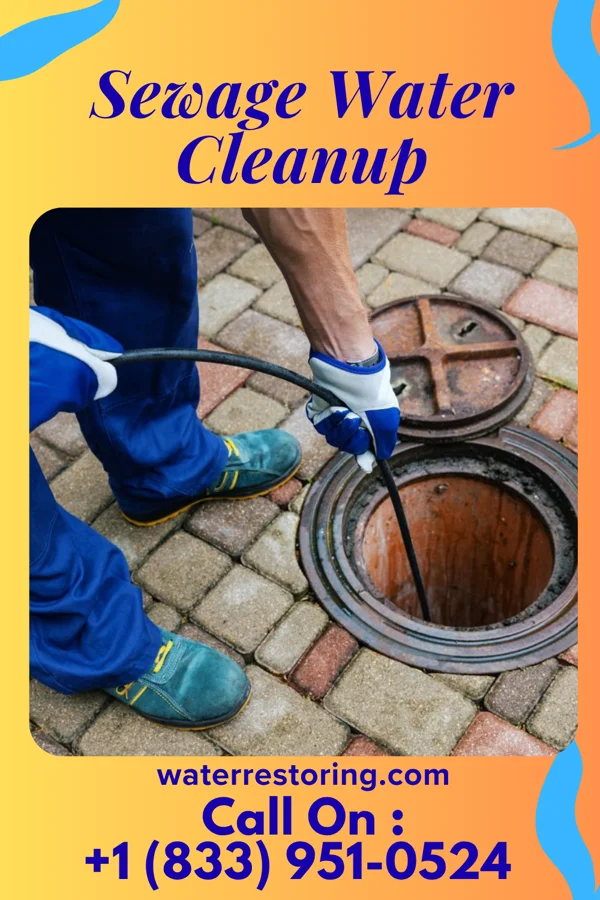 Sewage Water Cleanup in Nortonville, KS